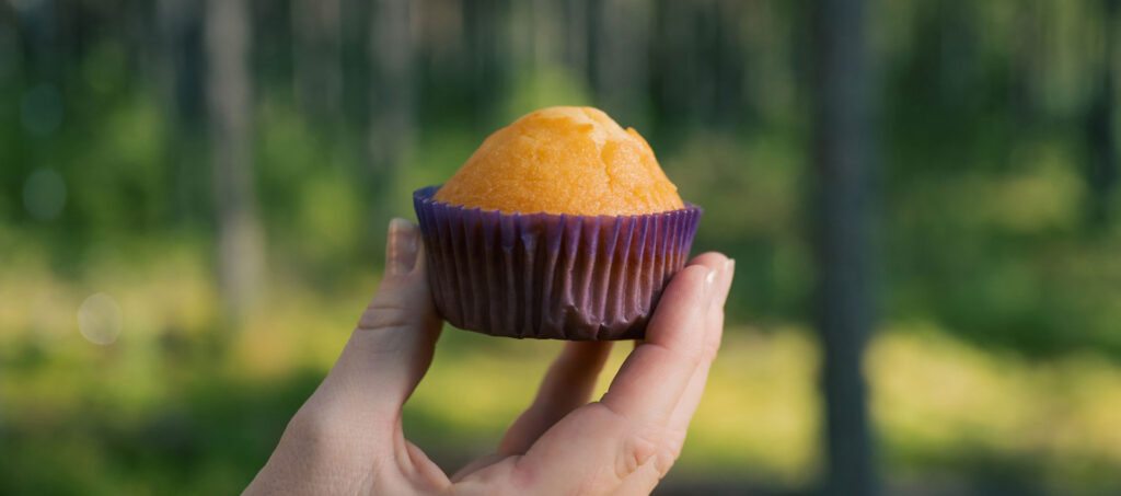 hand håller i muffin med skog i bakgrunden
